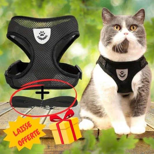 Harnais Chat avec Laisse La Patte Velue 