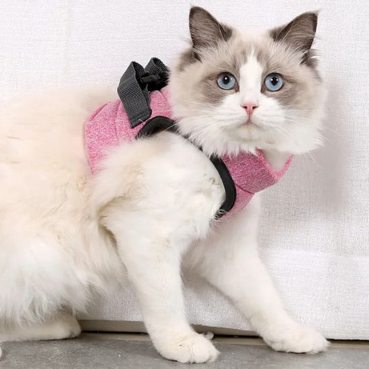 Harnais Respirant pour Chat La Patte Velue
