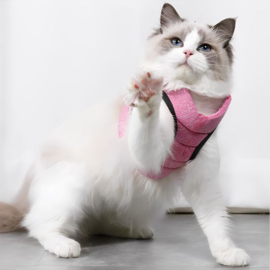 Harnais Respirant pour Chat La Patte Velue 4