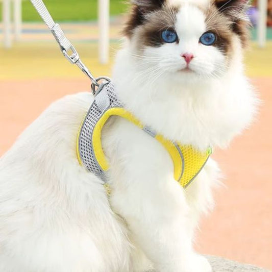 Harnais et Laisse Chat La Patte Velue
