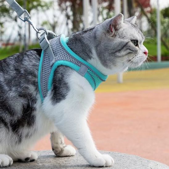 Harnais et Laisse Chat La Patte Velue 1