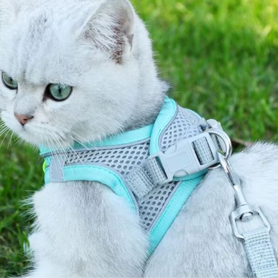 Harnais et Laisse Chat La Patte Velue 3