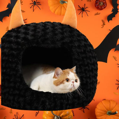 Lit Chat Halloween La Patte Velue 2