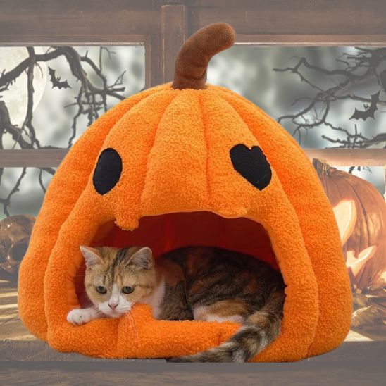 Niche Chat Halloween La Patte Velue