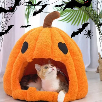 Niche Chat Halloween La Patte Velue 2