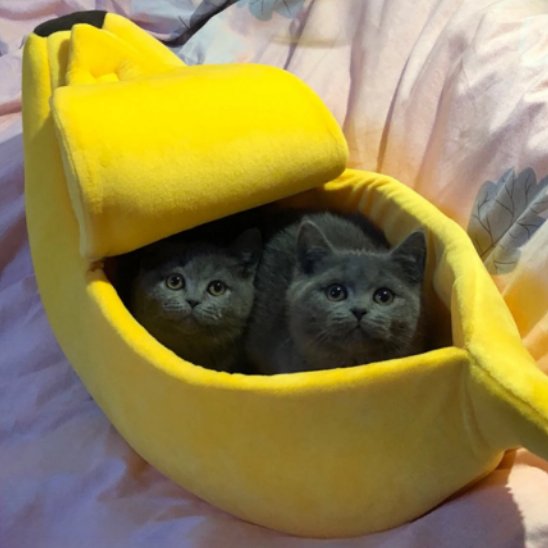 Panier chat semi ferme La Patte Velue