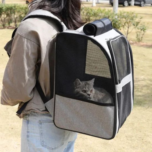 Sac à Dos Chats La Patte Velue