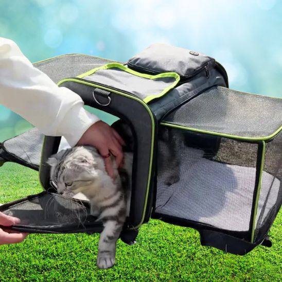 Sac Pour Transporter Chat La Patte Velue 4