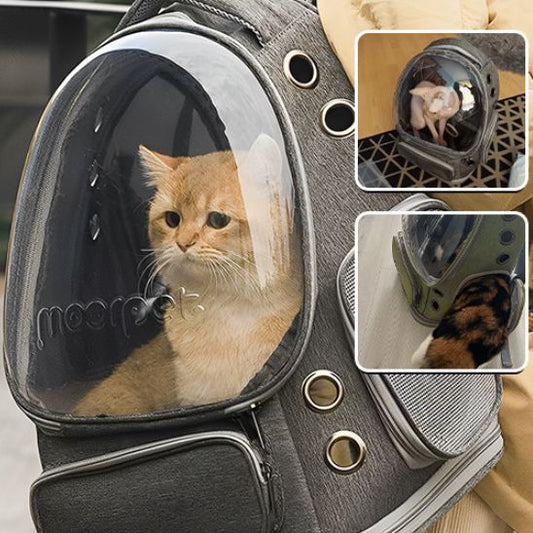 Sac a Dos pour Chat avec Hublot La Patte Velue