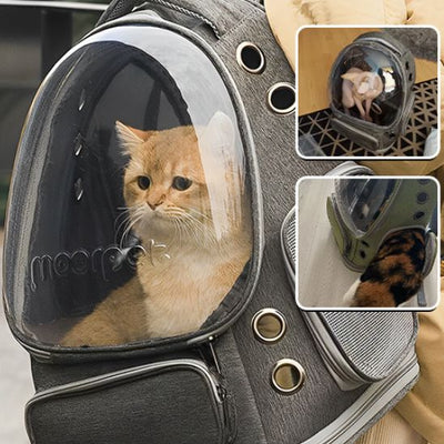 Sac a Dos pour Chat avec Hublot La Patte Velue