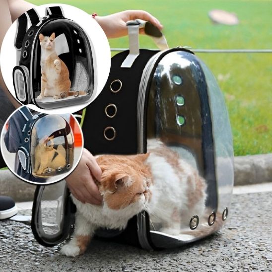 Sac a dos bulle pour chat La Patte Velue