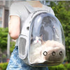 Sac a dos chat bulle La Patte Velue