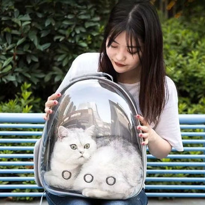 Sac a dos chat bulle La Patte Velue 2
