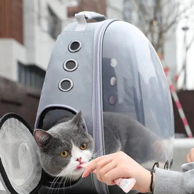 Sac a dos chat bulle La Patte Velue 3