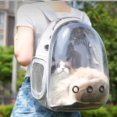 Sac a dos chat bulle La Patte Velue