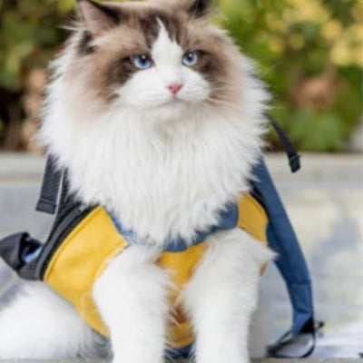 Sac chat transport leger La Patte Velue 3