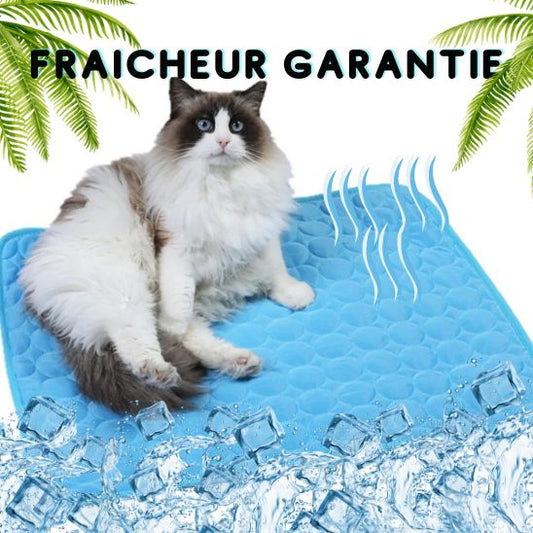 Tapis Rafraichissant Chat La Patte Velue