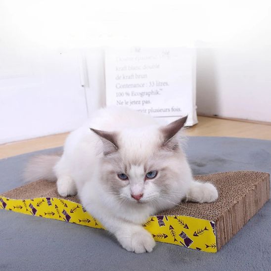 Le griffoir en carton pour chat : la solution naturelle et efficace